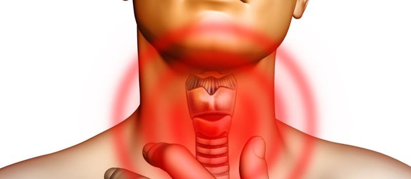 Image result for щитовидна жлеза