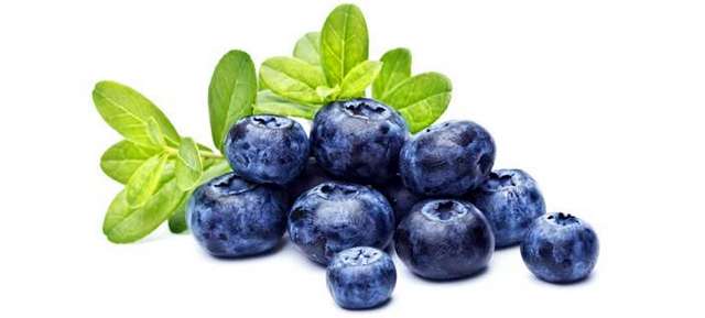 Blueberries-One-Fruit-To-Include-In-Your-Diet-01