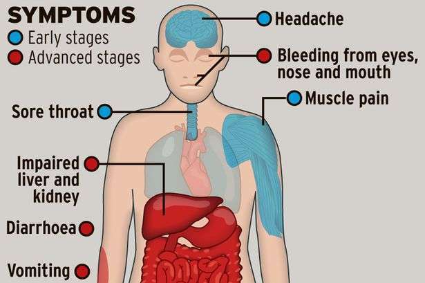 Ebola-outbreak-graphic