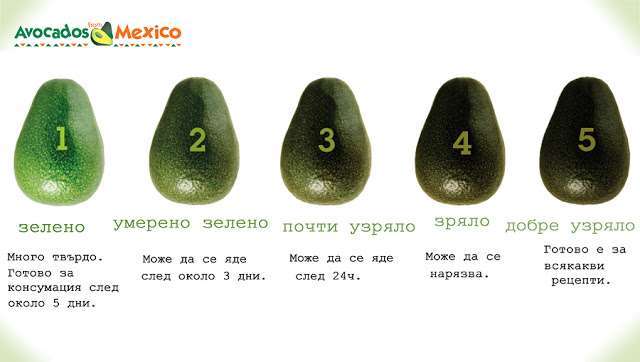 avocado_w