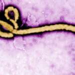 Как да се предпазим от ебола?
