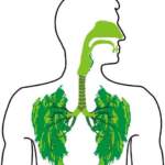Чудо: Изцяло ново дишане след четиридневно пречистване на белите дробове | Диана image 1