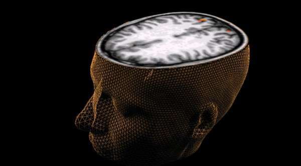 Какво крие мозъкът на психопата? | Диана