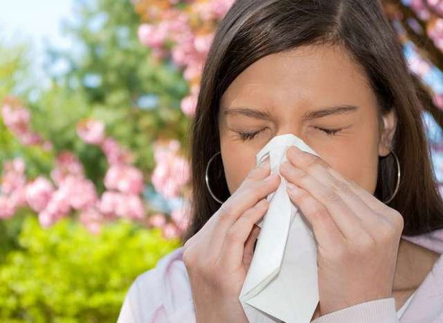 Пролетни алергии? Пет изненадващи начина да ги спрете | Диана