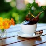 28 мисли, които да препрочиташ със сутрешното си кафе | Диана 