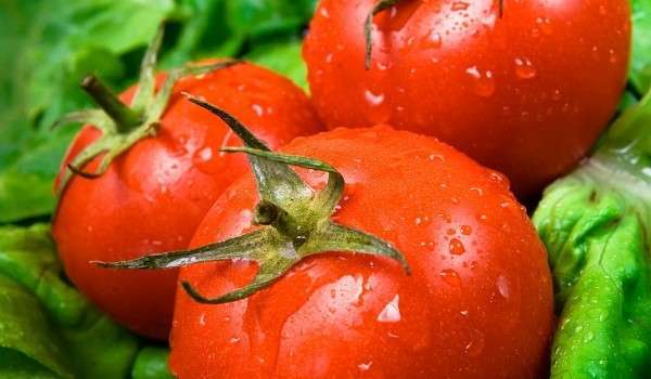 Как е най-полезно да се консумират доматите | Диана