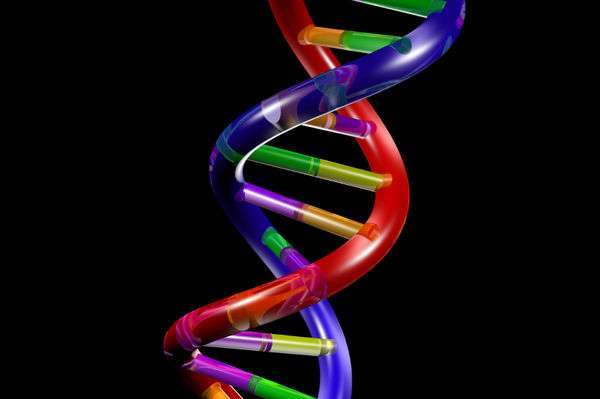 Добавките и консервантите увреждат в различна степен човешката ДНК | Диана