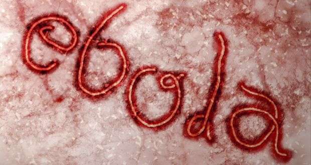 Ваксина против ебола със 100 процентова ефективност създадоха учени в Норвегия