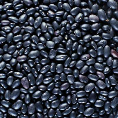 black-navy-beans-fight-cancer-400x400