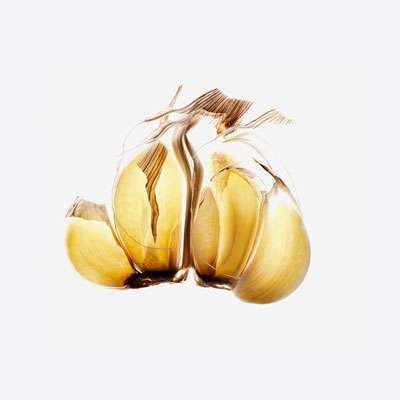 garlic-fight-cancer-400x400