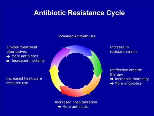 Светът е на прага на пост антибиотична ера предупреждават учени