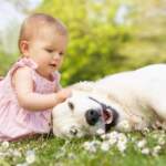 Домашното куче може да понижи риска от астма при децата | Диана 
