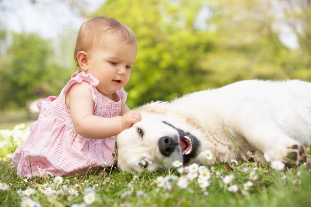 Ново изследване показва че децата отглеждани в домове с кучета