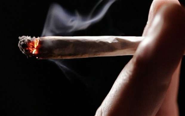 Пушенето на марихуана дори веднъж седмично уврежда мозъка | Диана