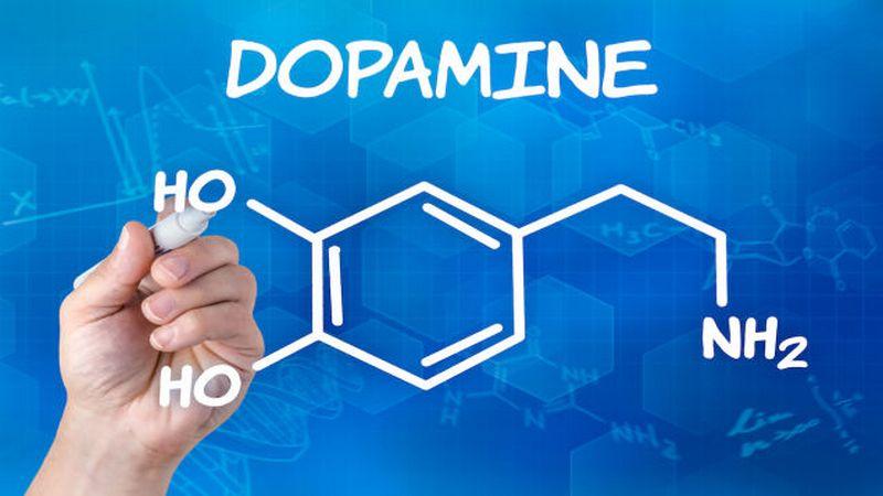 Намалените количества на веществото допамин в мозъка, водят до състояние