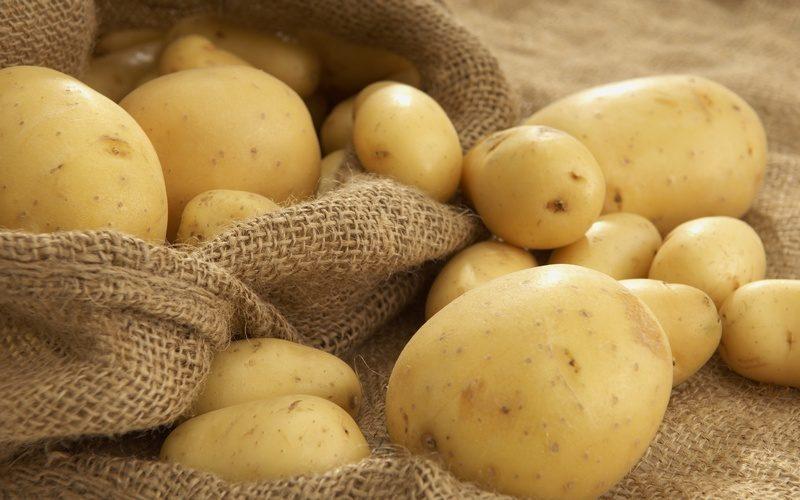 Как да получим 15 килограма картофи само от 1 картоф на 4 квадратни метра площ? | Диана image 1