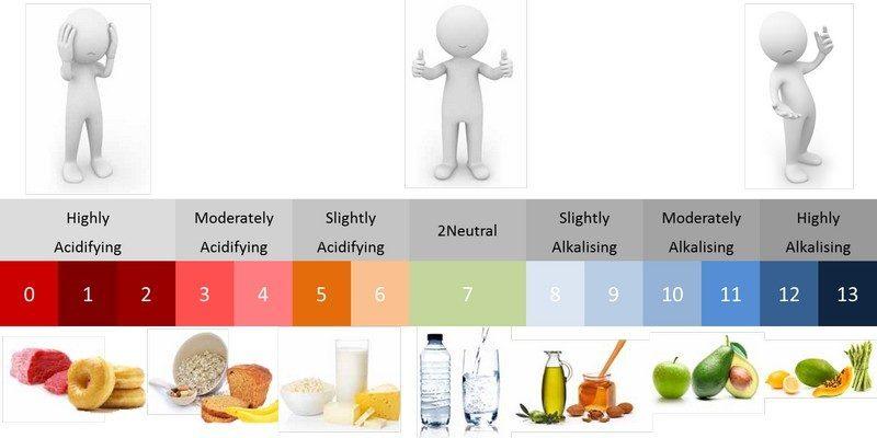 Кои храни са алкално и киселино образуващи и какви са техните рН стойности | Диана image 1