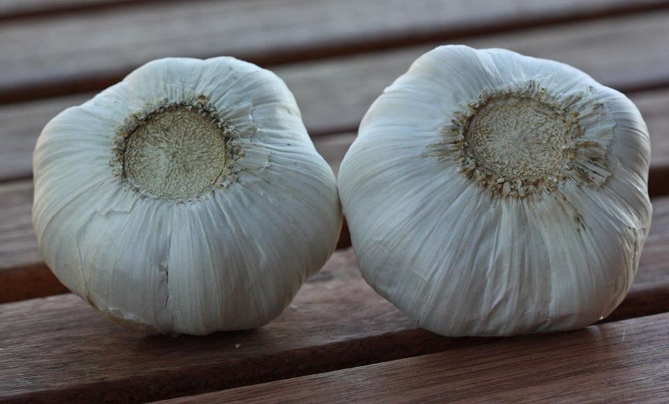garlic-from-china1