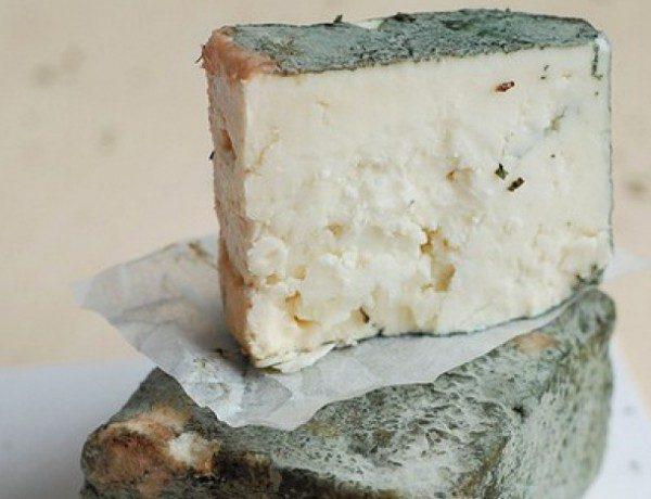 Зеленото сирене от Черни Вит | Диана