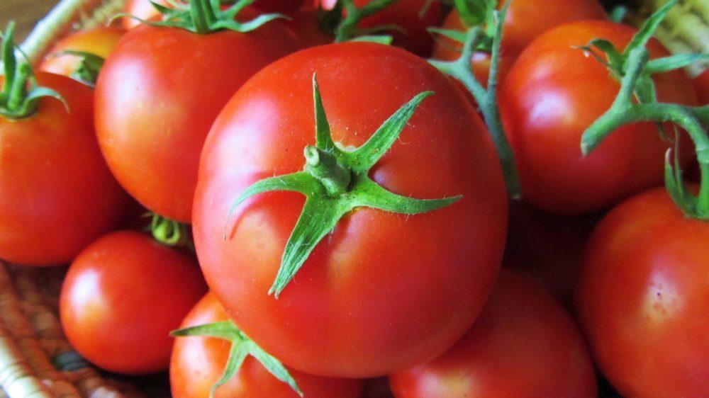 Гениална идея за ефективно отглеждане на домати | Диана image 4