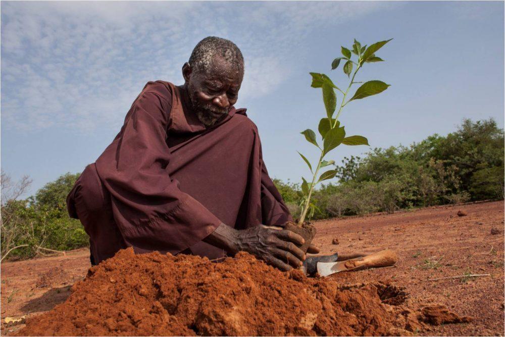 Якуба Савадого е упорит решителен и изобретателен фермер от Буркина