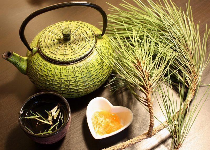 Чай от борови иглички - едно необичайно, но много ефективно средство за тонизиране на организма и борба с рака | Диана image 3