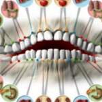 Болките във всеки един зъб са сигурен сигнал за проблем в съответните органи | Диана 