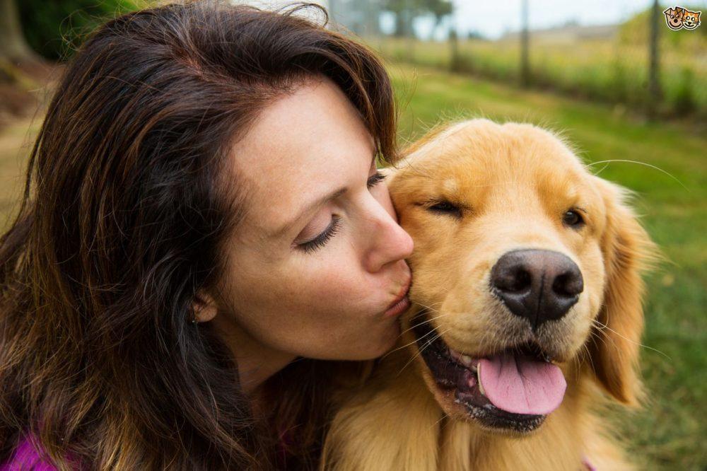 Австралийски учени установиха, че сърцата на кучетата туптят в синхрон