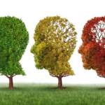 Борбата с Алцхаймер напредва