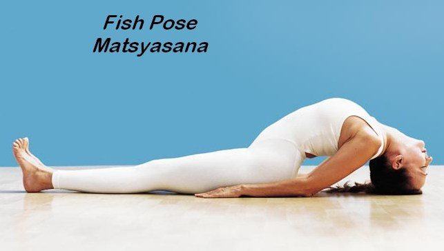 Fish-Pose-Matsyasana