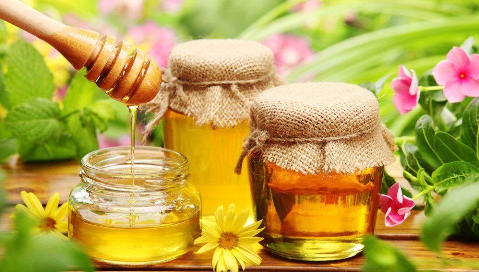 Какви разновидности на меда има и как да разпознаем истинския? | Диана