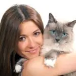 Котешкото мъркане е полезно за здравето | Диана 