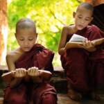 Myanmar little monk reading book outside monastery