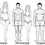 Кой тип тяло сте – Ектоморф, Мезоморф или Ендоморф?