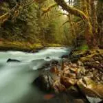 creek-731483_640
