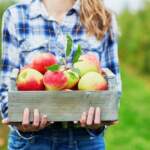 health_benefits_apples