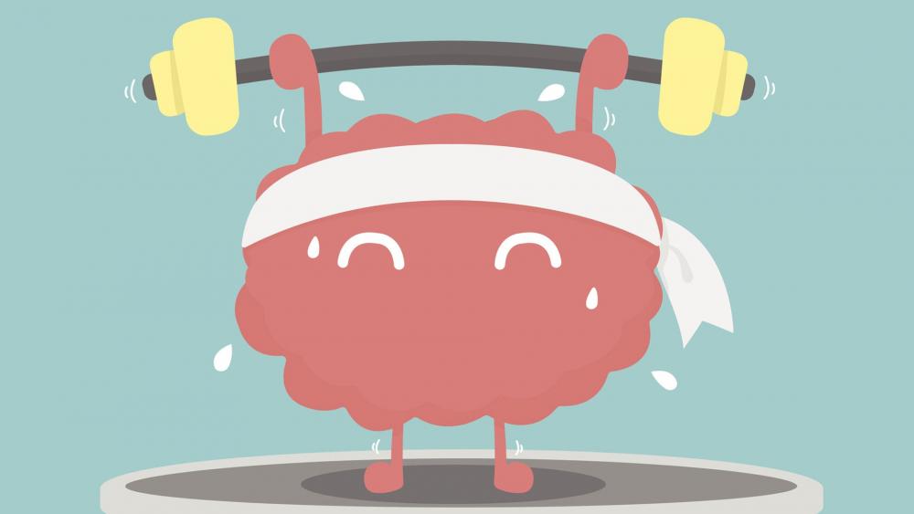 Могат ли физическите упражненията да стимулират умствените ви способности Изследователите все