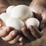 5 причини да добавим яйца към хранителния си режим