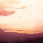 1a9039b393d5a3f3f9db025ca29dfd05