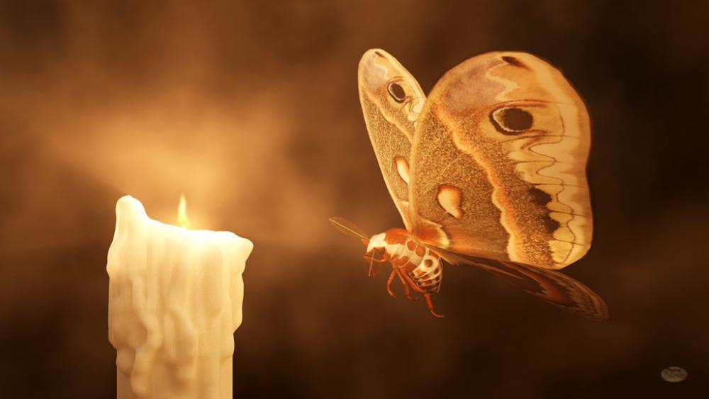 Три пеперуди, долитайки до горяща свещ,
започнали да разсъждават за природата