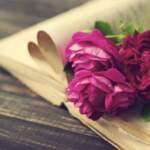 beautiful-wood-piony-flowers-peony-purple-book-vintage