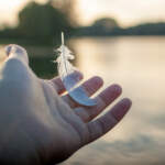 feather-hand-let-go