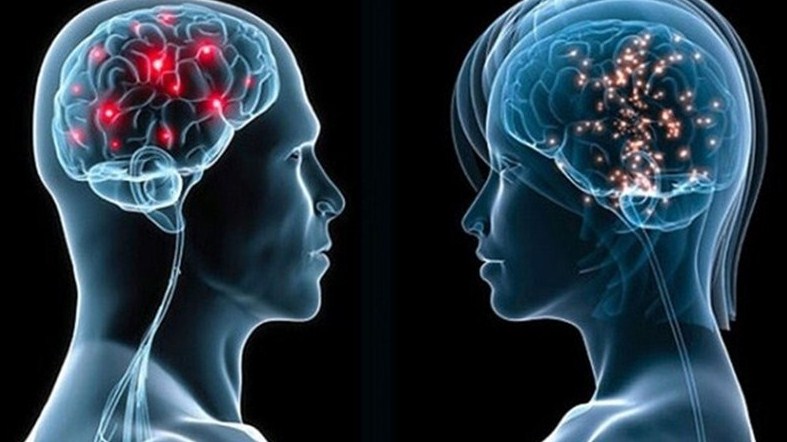Хората с висок интелект имат по добри сетивни способности откри ново изследване Под