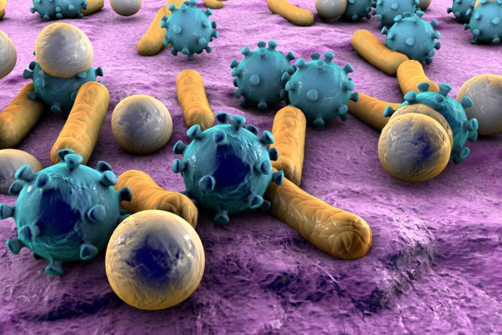 Снимка: Учени случайно създадоха широкоспектърен антибиотик към който бактериите не развиват резистентност