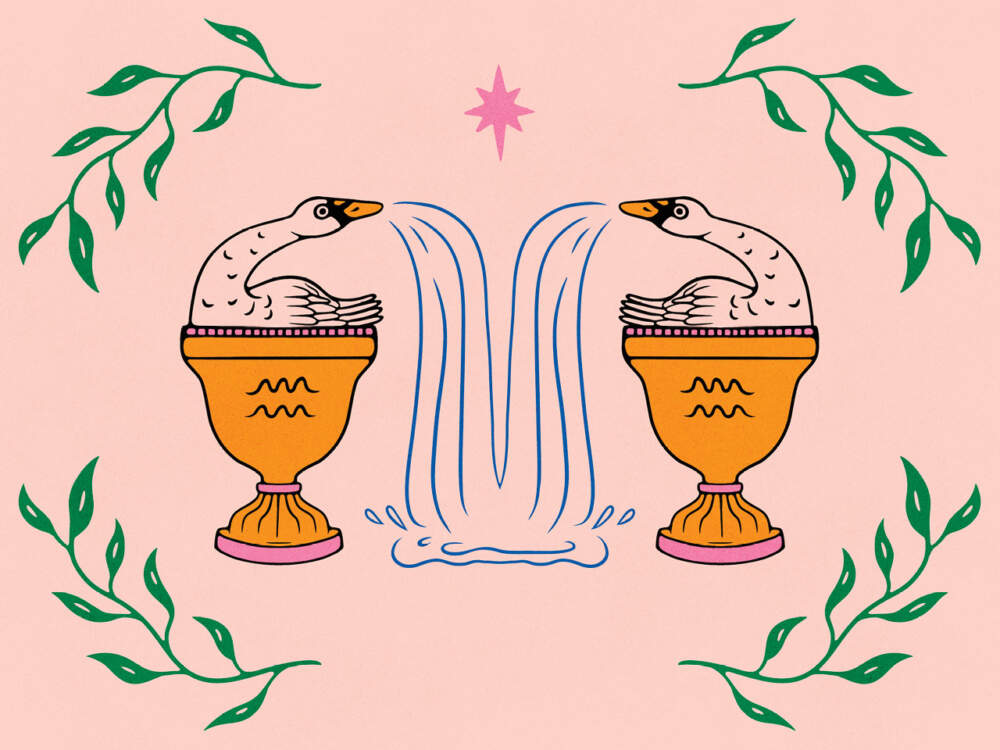 Илюстрация на два лебеда, седнали в две големи вази със символа Водолей върху тях.  На лебедите от човките им тече вода.