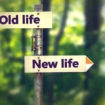 Signpost,In,A,Park,With,Arrows,Old,And,New,Life